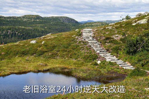 老式一體式衛(wèi)浴柜圖片,整體衛(wèi)浴一體式圖片