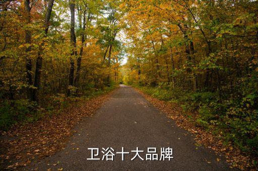  衛(wèi)浴十大品牌
