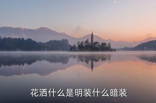  花灑什么是明裝什么暗裝