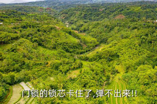  門鎖的鎖芯卡住了,彈不出來!!