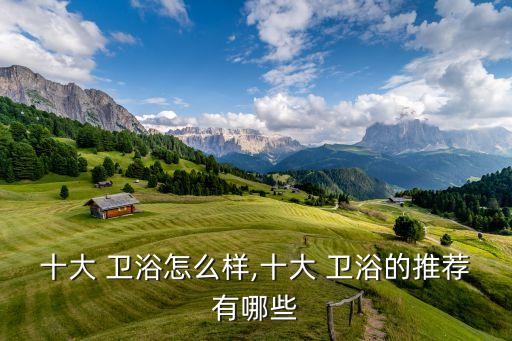 十大 衛(wèi)浴怎么樣,十大 衛(wèi)浴的推薦有哪些