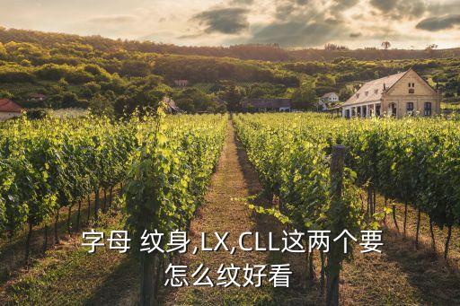  字母 紋身,LX,CLL這兩個(gè)要怎么紋好看