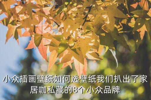 小眾插畫壁紙如何選壁紙我們扒出了家居咖私藏的8個(gè)小眾品牌