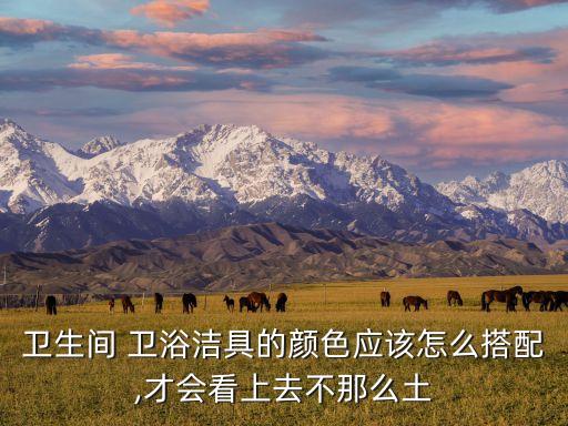 少女衛(wèi)浴裝修風格圖片,酒店式衛(wèi)浴裝修風格