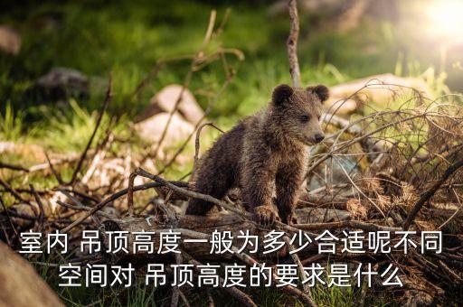 帶衛(wèi)浴臥室吊頂圖片,臥室吊頂100種圖片