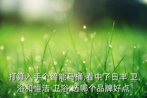打算入手個智能馬桶,看中了日豐 衛(wèi)浴和恒潔 衛(wèi)浴,選哪個品牌好點(diǎn)