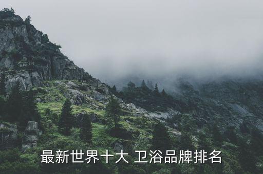 意大利衛(wèi)浴是品牌嗎