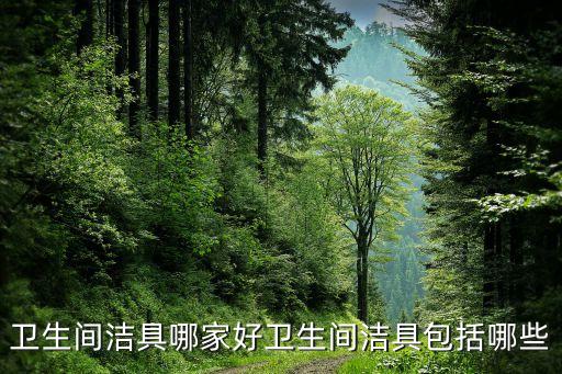 衛(wèi)生間潔具哪家好衛(wèi)生間潔具包括哪些