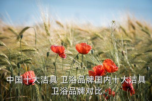 品牌衛(wèi)浴裝飾有哪些牌子,中國十大衛(wèi)浴品牌有哪些