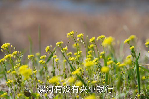 漯河衛(wèi)浴有限公司地址在哪
