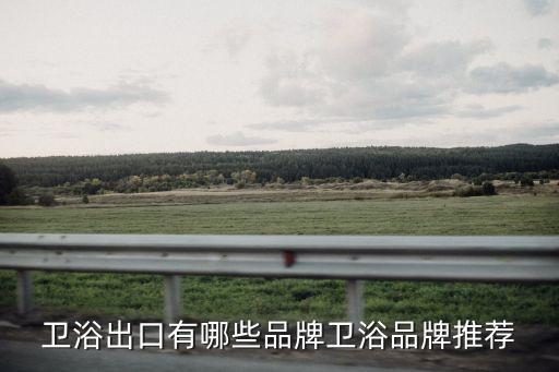 衛(wèi)浴出口有哪些品牌衛(wèi)浴品牌推薦