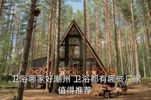  衛(wèi)浴哪家好潮州 衛(wèi)浴都有哪些廠家值得推薦