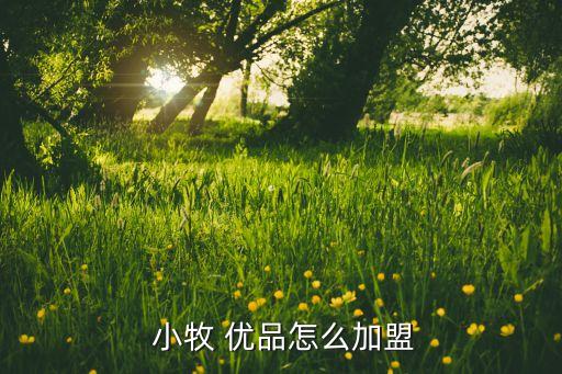  小牧 優(yōu)品怎么加盟