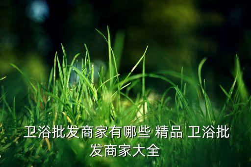 品牌精品衛(wèi)浴,精品衛(wèi)浴的安裝方法
