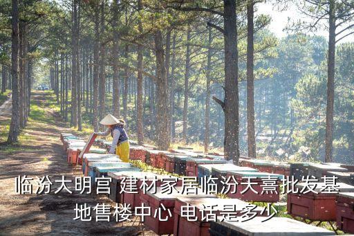 臨汾大明宮 建材家居臨汾天熹批發(fā)基地售樓中心 電話是多少