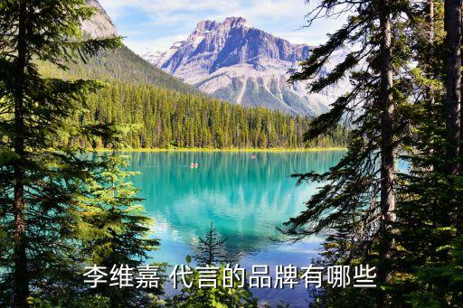 李維嘉 代言的品牌有哪些