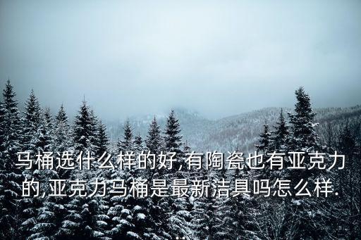 馬桶選什么樣的好,有陶瓷也有亞克力的,亞克力馬桶是最新潔具嗎怎么樣...