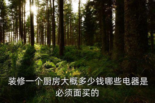  裝修一個廚房大概多少錢哪些電器是必須面買的