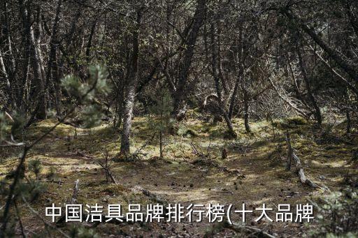 中國(guó)潔具品牌排行榜(十大品牌