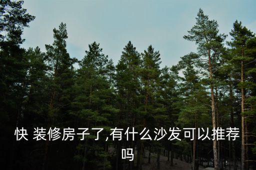 快 裝修房子了,有什么沙發(fā)可以推薦嗎