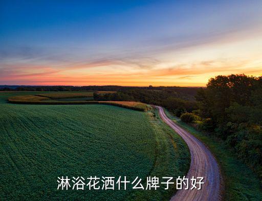淋浴花灑什么牌子的好