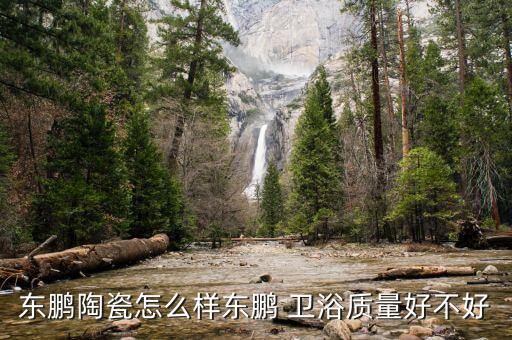 東鵬陶瓷怎么樣?xùn)|鵬 衛(wèi)浴質(zhì)量好不好