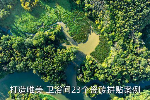 木紋衛(wèi)浴背景墻圖片欣賞