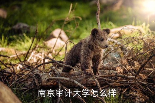 南京審計(jì)大學(xué)怎么樣