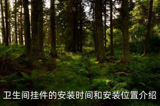 朝陽(yáng)衛(wèi)浴毛巾架安裝電話(huà)