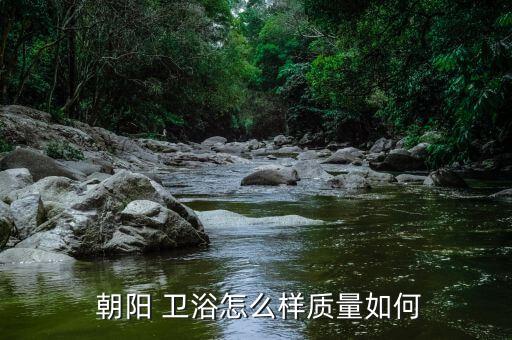  朝陽(yáng) 衛(wèi)浴怎么樣質(zhì)量如何