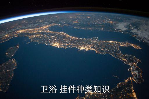  衛(wèi)浴 掛件種類知識