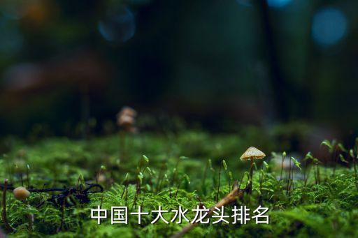 中國十大水龍頭排名