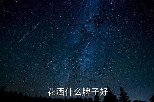 惠達(dá)衛(wèi)浴花灑推薦品牌平價(jià)