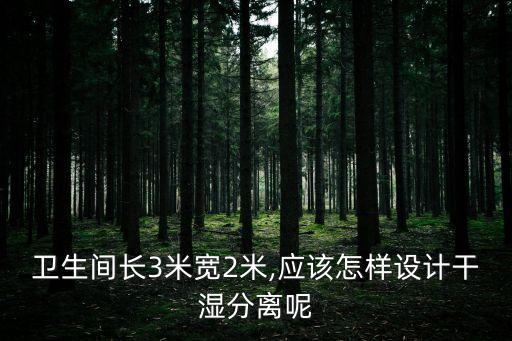 衛(wèi)生間長3米寬2米,應(yīng)該怎樣設(shè)計(jì)干濕分離呢