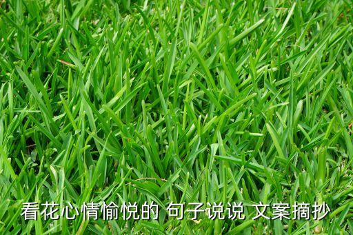 金色衛(wèi)浴文案句子圖片,文案句子傷感圖片