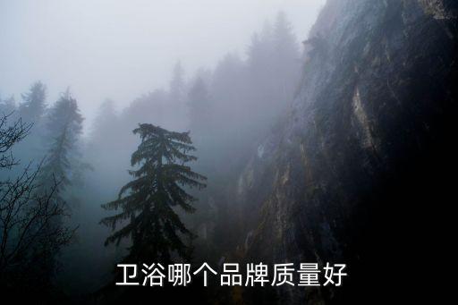 大唐衛(wèi)浴推薦什么品牌好