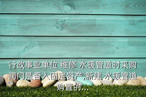 行政事業(yè)單位 維修 水暖管道時(shí)采購(gòu)閥門是否入固定資產(chǎn),新建 水暖管道購(gòu)置的...
