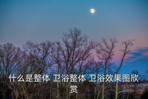 什么是整體 衛(wèi)浴整體 衛(wèi)浴效果圖欣賞
