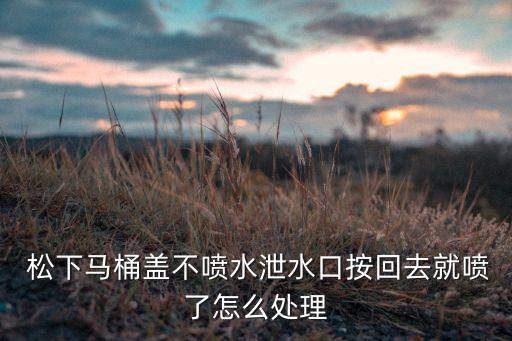 松下馬桶蓋不噴水泄水口按回去就噴了怎么處理