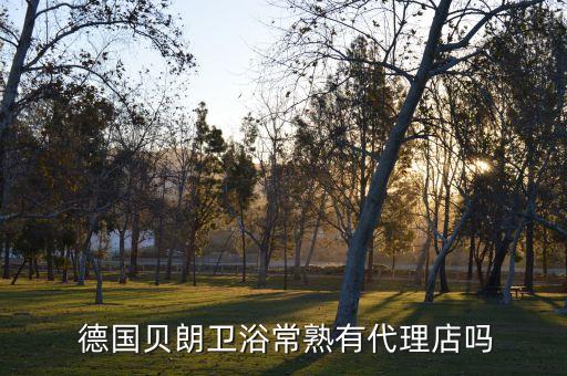  德國貝朗衛(wèi)浴常熟有代理店嗎