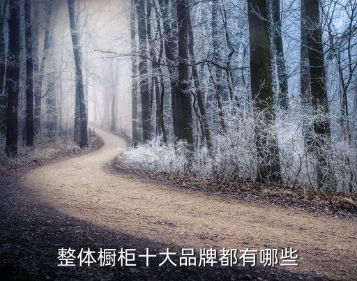 整體櫥柜十大品牌都有哪些