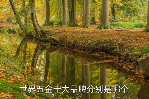 世界五金十大品牌分別是哪個