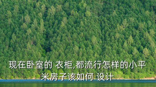 現(xiàn)在臥室的 衣柜,都流行怎樣的小平米房子該如何 設(shè)計(jì)