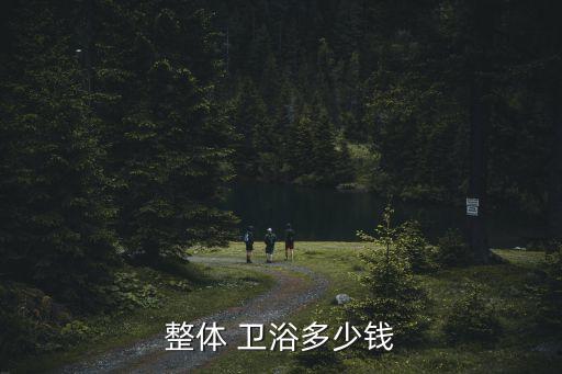整體 衛(wèi)浴多少錢
