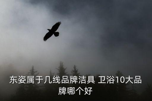 東姿屬于幾線品牌潔具 衛(wèi)浴10大品牌哪個好