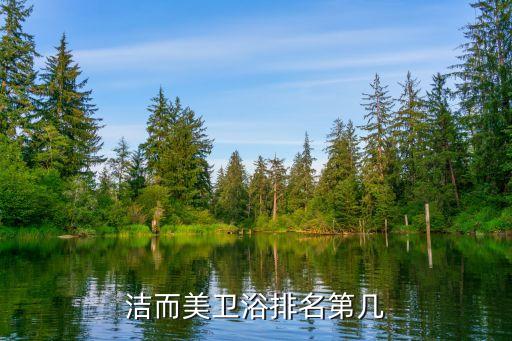 潔而美衛(wèi)浴排名第幾