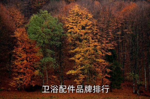 衛(wèi)浴配件品牌排行