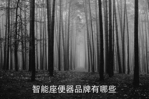 智能座便器品牌有哪些