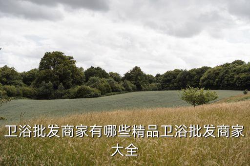 衛(wèi)浴批發(fā)商家有哪些精品衛(wèi)浴批發(fā)商家大全