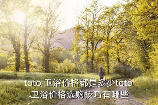 toto 衛(wèi)浴價格都是多少toto 衛(wèi)浴價格選購技巧有哪些
